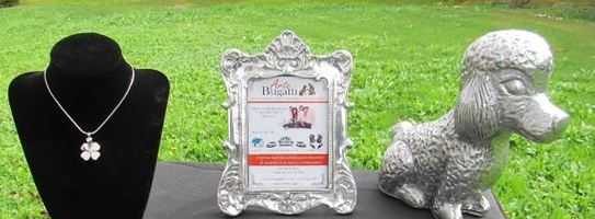 Servicio Funerario para mascotas